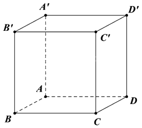 Đề khảo sát chất lượng Toán 12 lần 1 năm 2024 - 2025 trường THPT Triệu Sơn 4 - Thanh Hóa 1 5