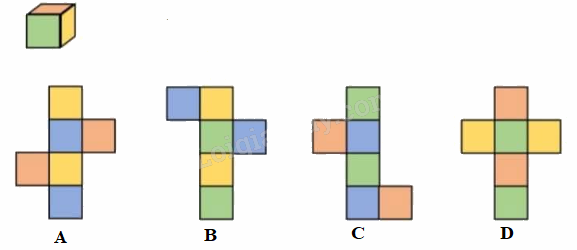 Đề kiểm tra giữa học kì 2 Toán 5 Chân trời sáng tạo - Đề số 3 0 1