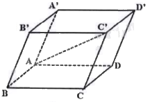 Đề minh họa THPT môn Toán năm 2025 có lời giải 0 3