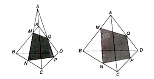 Đề thi giữa kì 1 Toán 11 Cánh diều - Đề số 2 10