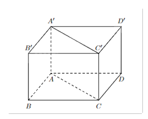 Đề thi giữa kì 1 Toán 11 Cánh diều - Đề số 6 1 2