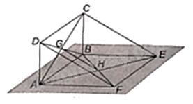 Đề thi giữa kì 1 Toán 11 Chân trời sáng tạo - Đề số 2 6