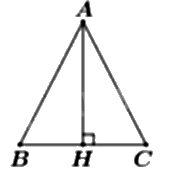 Đề thi giữa kì 1 Toán 11 Chân trời sáng tạo - Đề số 2 8