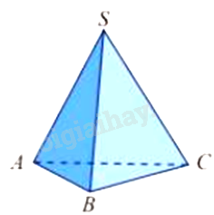 Đề thi giữa kì 1 Toán 11 Chân trời sáng tạo - Đề số 4 5