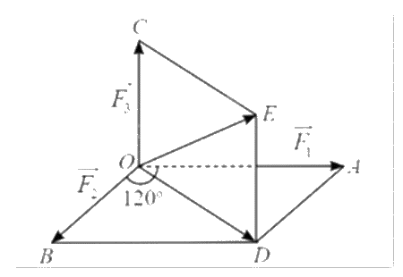 Đề thi giữa kì 1 Toán 12 - Đề số 4 1 11