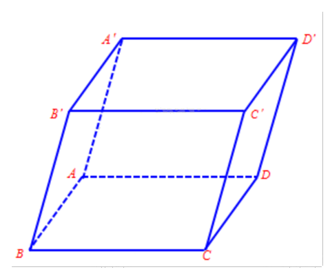 Đề thi giữa kì 1 Toán 12 - Đề số 5 0 8
