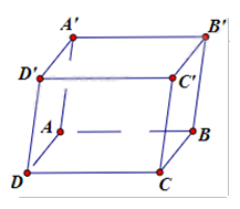 Đề thi giữa kì 1 Toán 12 - Đề số 8 1 12