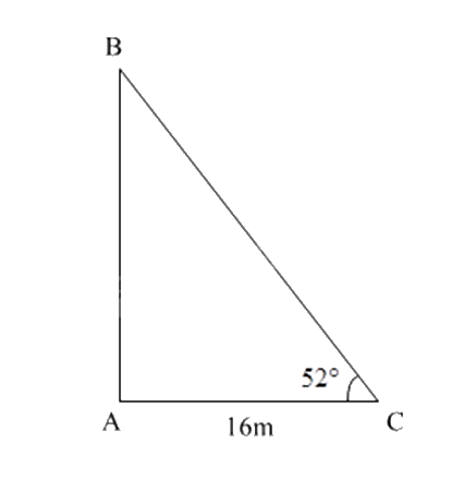 Đề thi giữa kì 1 Toán 9 - Đề số 1 1 4