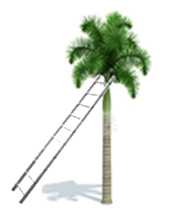 Đề thi giữa kì 1 Toán 9 - Đề số 5 1 7