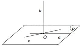 Đề thi giữa kì 2 Toán 11 Cánh diều - Đề số 2 1 8