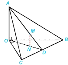 Đề thi giữa kì 2 Toán 11 Cánh diều - Đề số 5 1 14