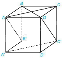 Đề thi giữa kì 2 Toán 11 Chân trời sáng tạo - Đề số 4 1 2