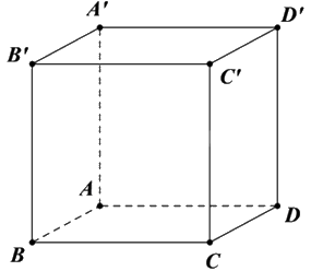 Đề thi giữa kì 2 Toán 11 Chân trời sáng tạo - Đề số 6 1 1
