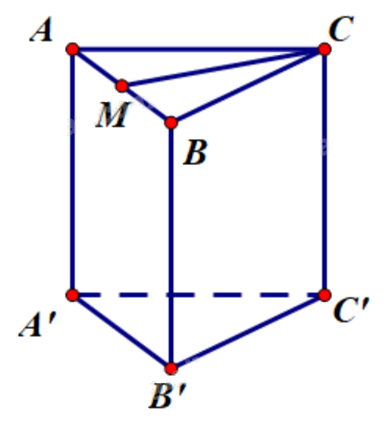 Đề thi giữa kì 2 Toán 11 Chân trời sáng tạo - Đề số 7 1 9