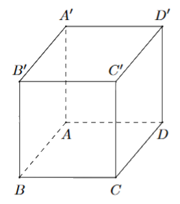 Đề thi giữa kì 2 Toán 11 Chân trời sáng tạo - Đề số 8 0 1