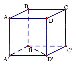 Đề thi giữa kì 2 Toán 11 Kết nối tri thức - Đề số 1 1 6