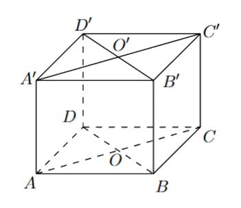Đề thi giữa kì 2 Toán 11 Kết nối tri thức - Đề số 7 0 2