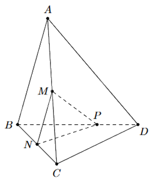 Đề thi học kì 1 Toán 11 Chân trời sáng tạo - Đề số 6 0 3