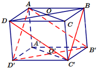 Đề thi học kì 1 Toán 11 Kết nối tri thức - Đề số 1 1 6