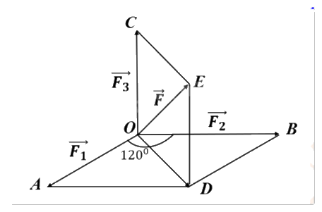 Đề thi học kì 1 Toán 12 Cánh diều - Đề số 1 1 12