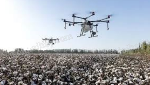 Đề thi học kì 1 Toán 12 Cánh diều - Đề số 2 0 10