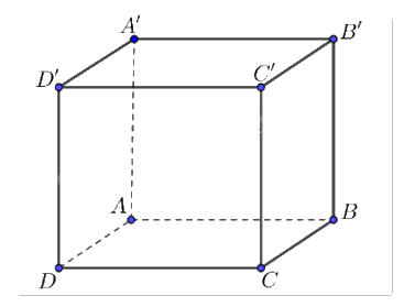 Đề thi học kì 1 Toán 12 Kết nối tri thức - Đề số 1 1 6