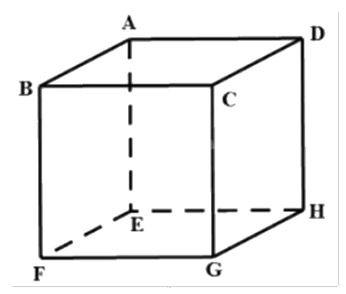 Đề thi học kì 1 Toán 12 Kết nối tri thức - Đề số 4 0 5