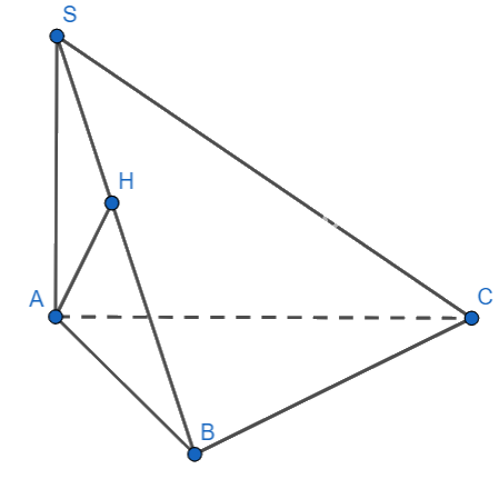 Đề thi học kì 2 Toán 11 Cánh diều - Đề số 3 1 1