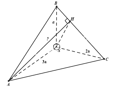 Đề thi học kì 2 Toán 11 Cánh diều - Đề số 4 1 3