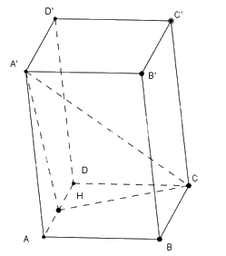 Đề thi học kì 2 Toán 11 Cánh diều - Đề số 5 1 6