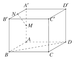 Đề thi học kì 2 Toán 11 Chân trời sáng tạo - Đề số 9 1 3