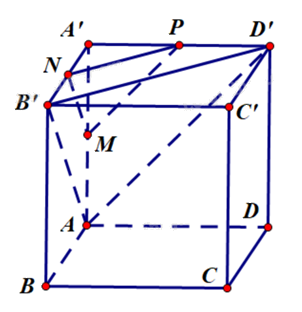 Đề thi học kì 2 Toán 11 Chân trời sáng tạo - Đề số 9 1 4
