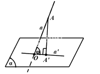 Đề thi học kì 2 Toán 11 - Đề số 2 1 1