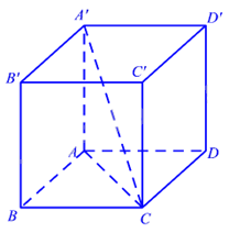 Đề thi học kì 2 Toán 11 - Đề số 7 0 1
