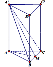 Đề thi học kì 2 Toán 11 - Đề số 8 1 9