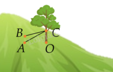 Đề thi học kì 2 Toán 12 Cánh diều - Đề số 4 0 2