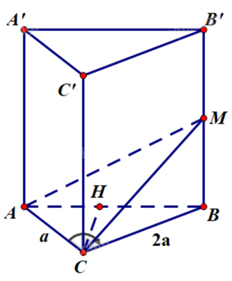 Đề thi thử THPT môn Toán năm 2025 Sở GD Hà Tĩnh 1 13