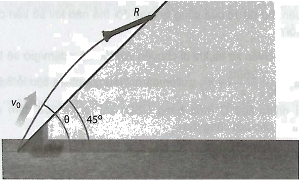 Giải bài 1.19 trang 16 sách bài tập toán 12 - Kết nối tri thức 1