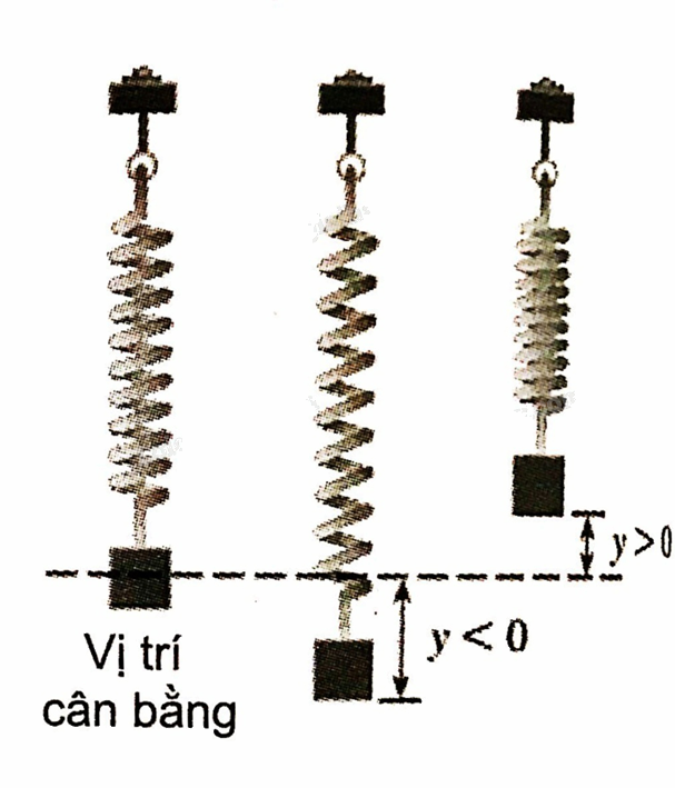 Giải bài 1.23 trang 18 sách bài tập toán 11 - Kết nối tri thức với cuộc sống 1