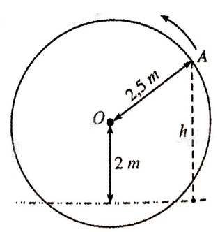 Giải bài 1.29 trang 24 sách bài tập toán 11 - Kết nối tri thức với cuộc sống 1