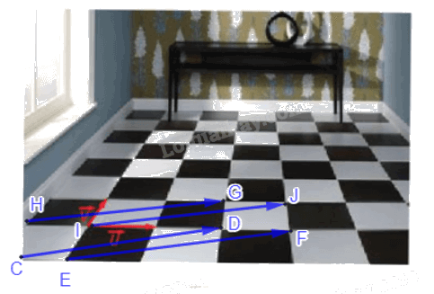Giải bài 1.5 trang 11 Chuyên đề học tập Toán 11 Kết nối tri thức 3