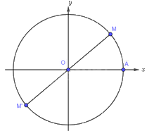 Giải bài 1 trang 10 sách bài tập toán 11 - Cánh diều 2