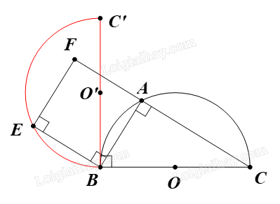 Giải bài 11 trang 41 Chuyên đề học tập Toán 11 Chân trời sáng tạo 2