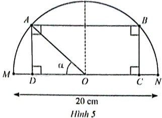 Giải bài 12 trang 12 sách bài tập toán 12 - Chân trời sáng tạo 1