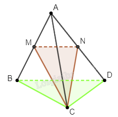 Giải bài 13 trang 100 sách bài tập toán 11 - Cánh diều 2