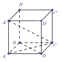 Giải bài 14 trang 95 sách bài tập toán 11 - Cánh diều 2