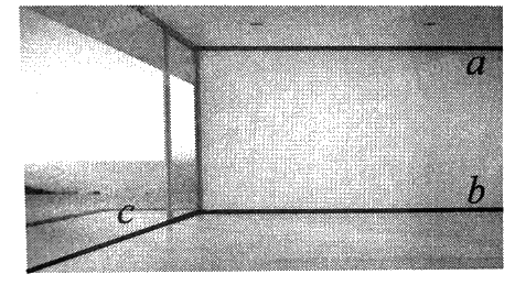 Giải bài 15 trang 100 sách bài tập toán 11 - Cánh diều 1