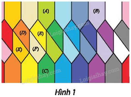 Giải bài 15 trang 42 Chuyên đề học tập Toán 11 Chân trời sáng tạo 1