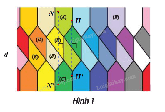Giải bài 15 trang 42 Chuyên đề học tập Toán 11 Chân trời sáng tạo 4