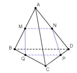 Giải bài 16 trang 100 sách bài tập toán 11 - Cánh diều 2